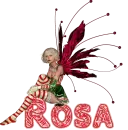 christmas-rosa