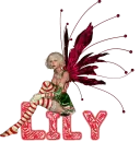 christmas-lily