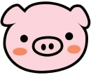 cute pig