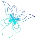 cute butterfly