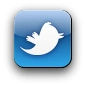 twitter icon