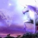 Purple Unicorn