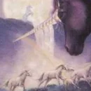 Unicorn Stallion