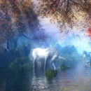 Unicorn River