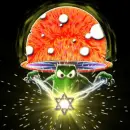 Magic Mushrooms power