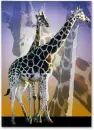 Giraffes 