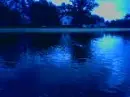 isnt this purrty?