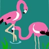 flamingos