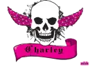 Charley pink skull