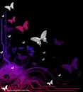 butterfly8