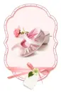 ballet shose