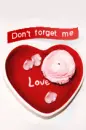 don't forget me