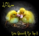 Ducklings ~ You Quack Me Up