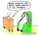 sad penguin