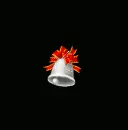 Silver Bell