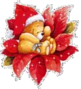 Christmas Bear