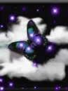 Majestic Purple Butterfly