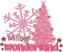 Winter Wonderland