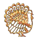 turkey avatar