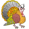 turkey avatar