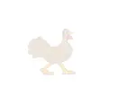 walking turkey wallpaper