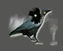 Magic bird