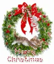 Christmas Kitten