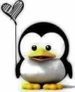 hi penguin!!!