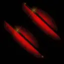 Red Line