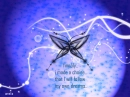 Butterfly Memories