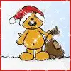 Snow Bear