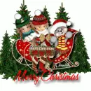 Merry christmas