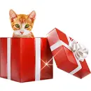 Kitten