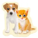 Pets