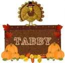 Tabby