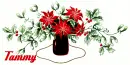 Poinsettia ~ Tammy