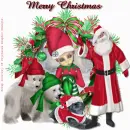 merry christmas