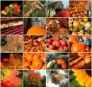 Autumn Background