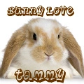 Bunny Love ~ Tammy