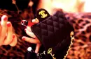 chanel & lipgloss