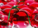ORNAMENTO DE NAVIDAD CON BURBUJAS
