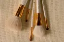 brushes