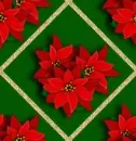 poinsetta