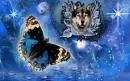 Amazing Wolf