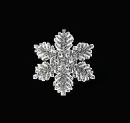 silver snowflake