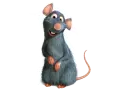 RAT