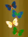 butterfly