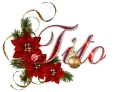 christmas rose
