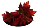 Red Maple - Annie