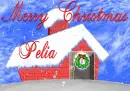 Pelia